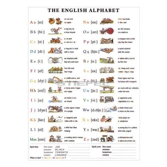 The English Alphabet DUO 