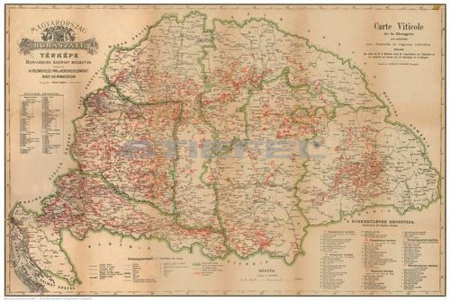 Régi Magyarország 1876 borászati térképe
