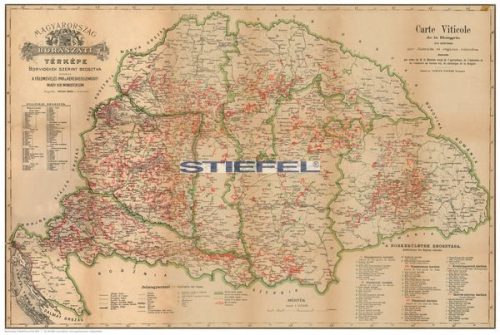 Régi Magyarország 1876 borászati térképe keretezett