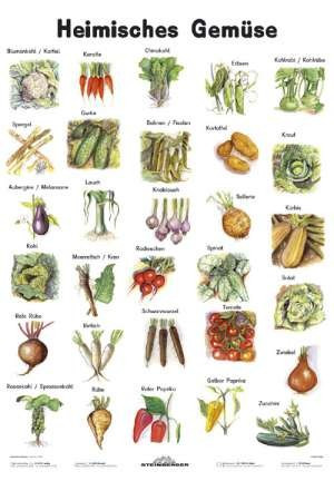 Heimische Gemüse