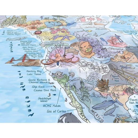 Búvár térkép poszter, egyoldalon fóliázott kivitelben
