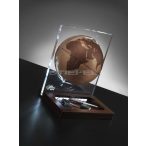   Földgömb asztali ARIA DESK natúr bronz gömb fatalp plexi váz