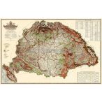 Magyarország erdészeti térképe fóliázott, lécezett