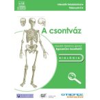 Csontváz-oktató CD