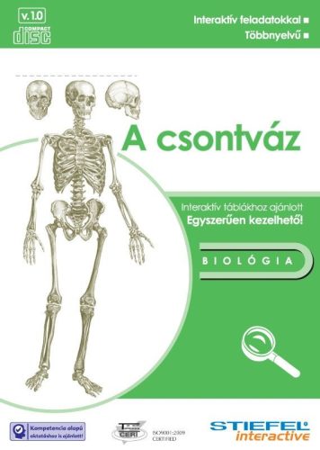 Csontváz-oktató CD