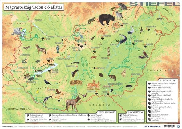 élő térkép magyarország Magyarország vadon élő állatai / Magyarország állatvilága asztali  élő térkép magyarország